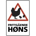 Frittgående høns