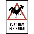 Vokt dem for hanen