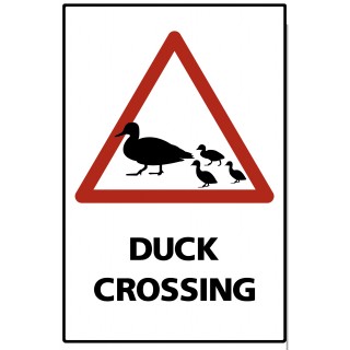 Duck Crossing