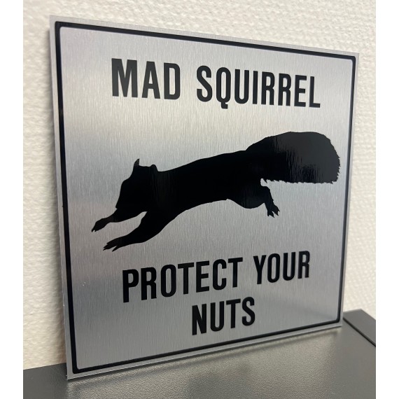 Mad squirrel (15 x15cm børstet aluminium)